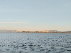 -深圳湾公园(南山区)