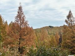-山王坪喀斯特国家生态公园