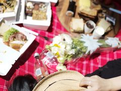 -墨尔本皇家植物园