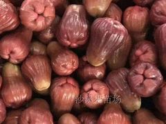 -菊园百果园