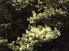 -宁波五龙潭景区