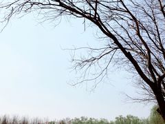 -东郊湿地公园