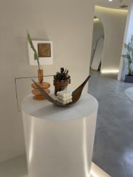 -VE专注问题肌·赛诺龙&科学美肤中心