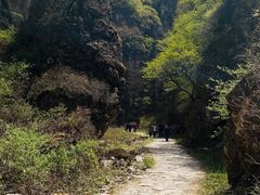 -仙人峪