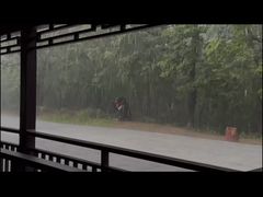 -茅兰沟国家森林公园