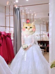 点击看大图 -CD视觉婚纱摄影