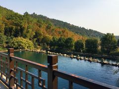 -九龙潭景区