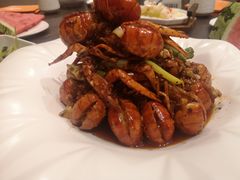 麻辣澳洲小龙虾-虾胡闹·澳洲小龙虾·烧烤(福田鲨鱼店)