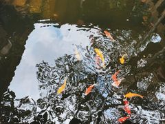 -剑门关风景区