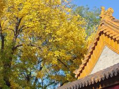 -后海16号·北京私房菜