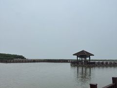 -南大港湿地风景区