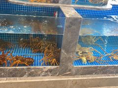 -骏莱海鲜鱼港(五角场店)