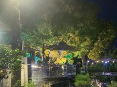 -蘇河湾·新鲁菜·泰山宴(泰山店)
