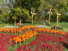 -上海共青森林公园