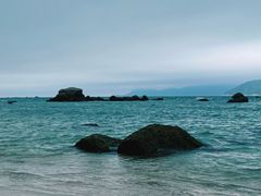 -花海间·即刻露营