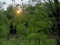 -神光山国家森林公园