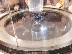 -上海科技馆(地铁站)