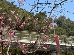 -狐尾山公园