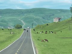 -新疆那拉提国家旅游度假区
