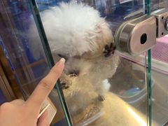 -FAELING PETS美天灵宠物(富力广场店)