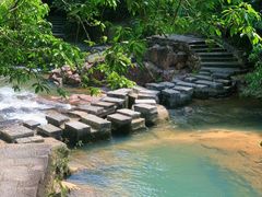 -广州白江湖森林公园