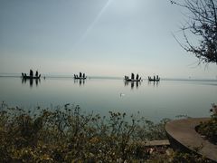 -贡湖湾湿地公园