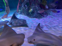 -沈阳海洋探索中心