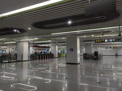 -海合安成都极地海洋公园