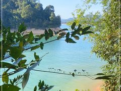 -广州市流溪河国家森林公园