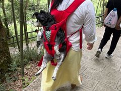-石台牯牛降景区