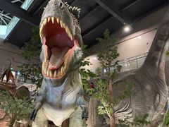 -湖南省地质博物馆