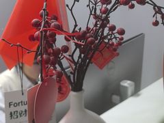 -小象国照相馆(宝山万达店)