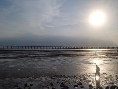 -宝安西湾红树林湿地公园