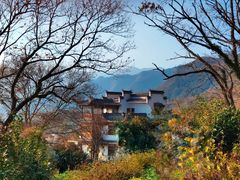 -塔川景区