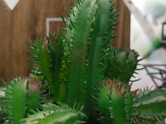 -阿三生煎馆(万达广场店)