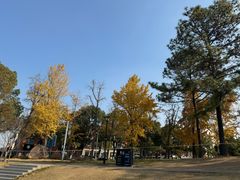 -美兰湖景区