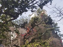 -塔云山
