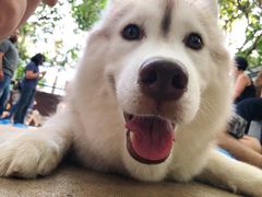 -TrueLove @ Neverland (Husky Cafe)