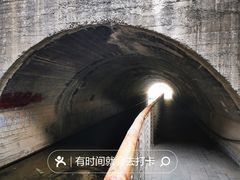 -白水寺森林公园