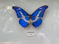 -中华郡文化旅游景区
