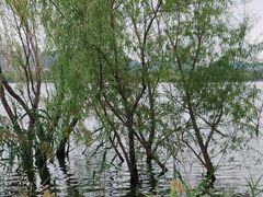 -济南国际园博园