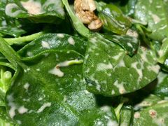 -圆满素食林饭店非遗素食(河西店)