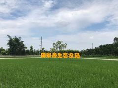 -迪茵湖田家舍生态农场