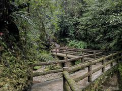 -青城山