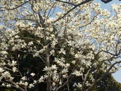 -达记卤菜店(红庙店)