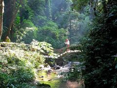 -莫里热带雨林景区