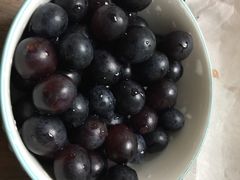 -海堤葡萄园中小学生研学基地