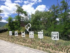 -紫云台香草园