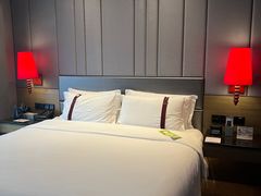 -榛悦隆堡成都酒店(春熙路太古里店)