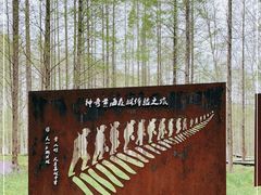 -黄海国家森林公园